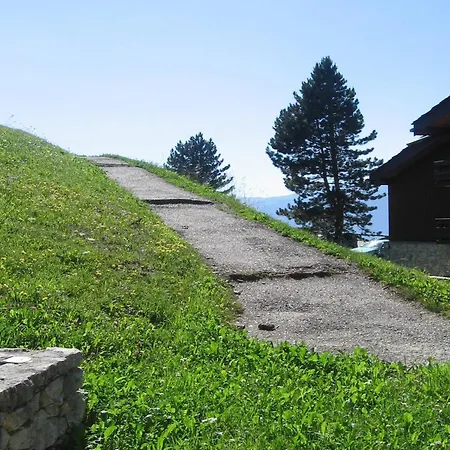 Daire Cosy Pour 2 Pers., Terrasse, Animaux Admis - Fr-1-353-12 *