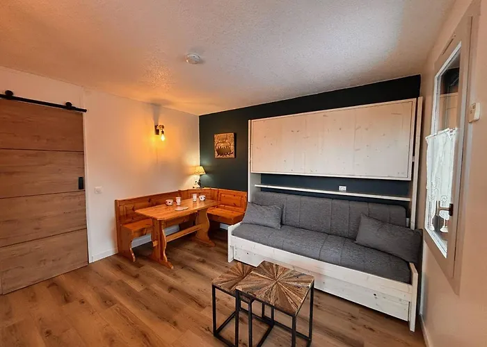 Cosy Pour 2 Pers., Terrasse, Animaux Admis - Fr-1-353-12 * La Plagne